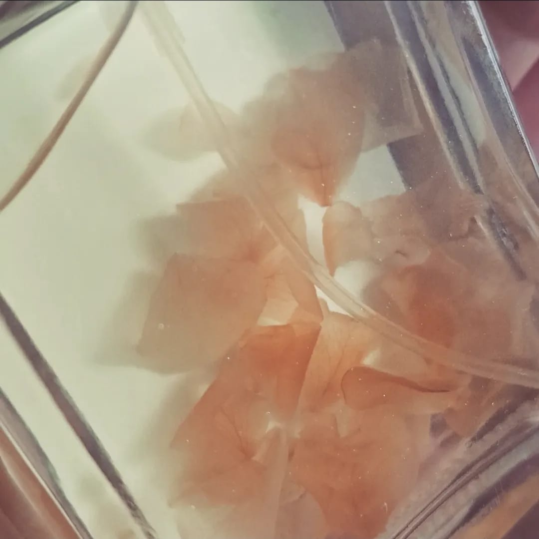 Perfume Pétalas
